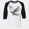 Adult Heavy Cotton™ Three-Quarter Raglan Sleeve T-Shirt Thumbnail